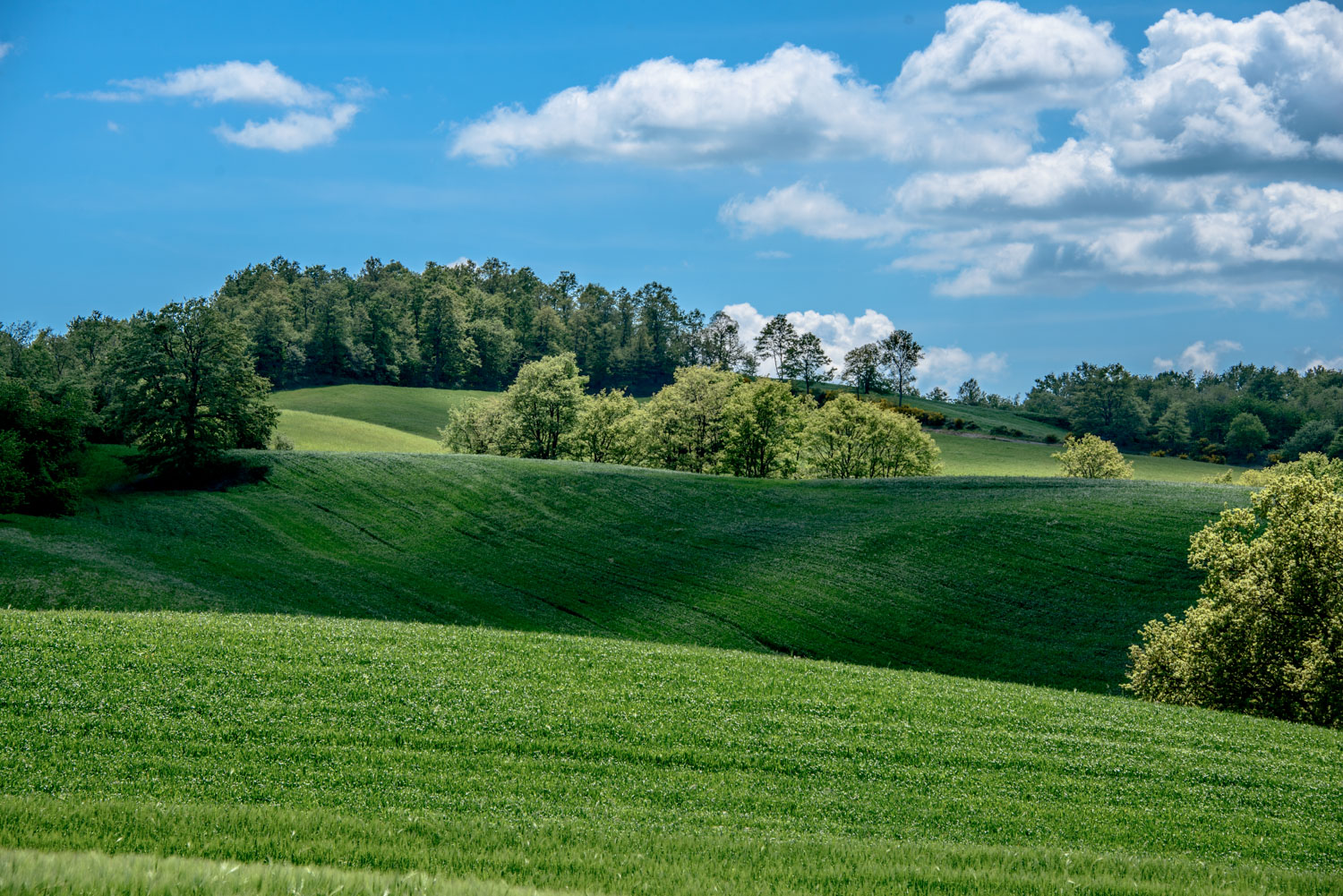 Casmpagna  toscana...