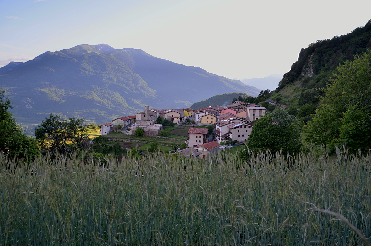 Dormi sepolto in un campo di grano