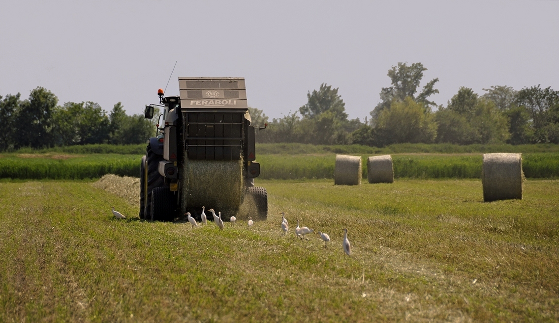 Il momento del "parto meccanico "