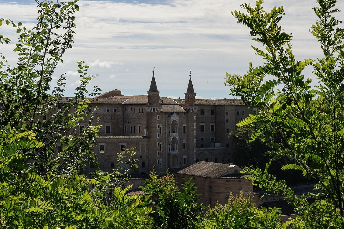 In mezzo al verde...