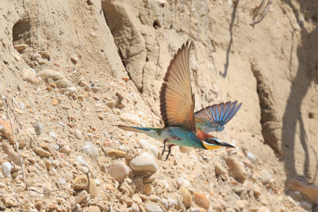 Volo a prendere qualcosa per cena . . . torno subito!
