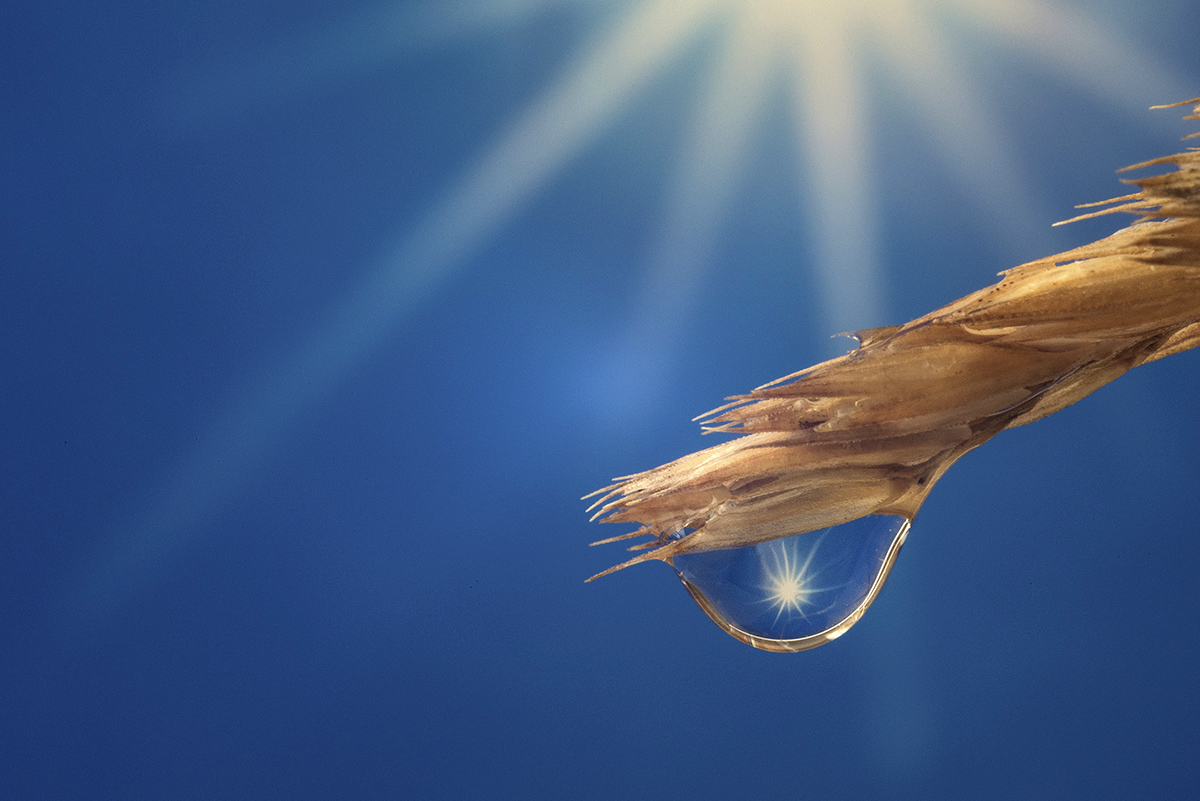 contest "controluce con sole nel fotogramma"