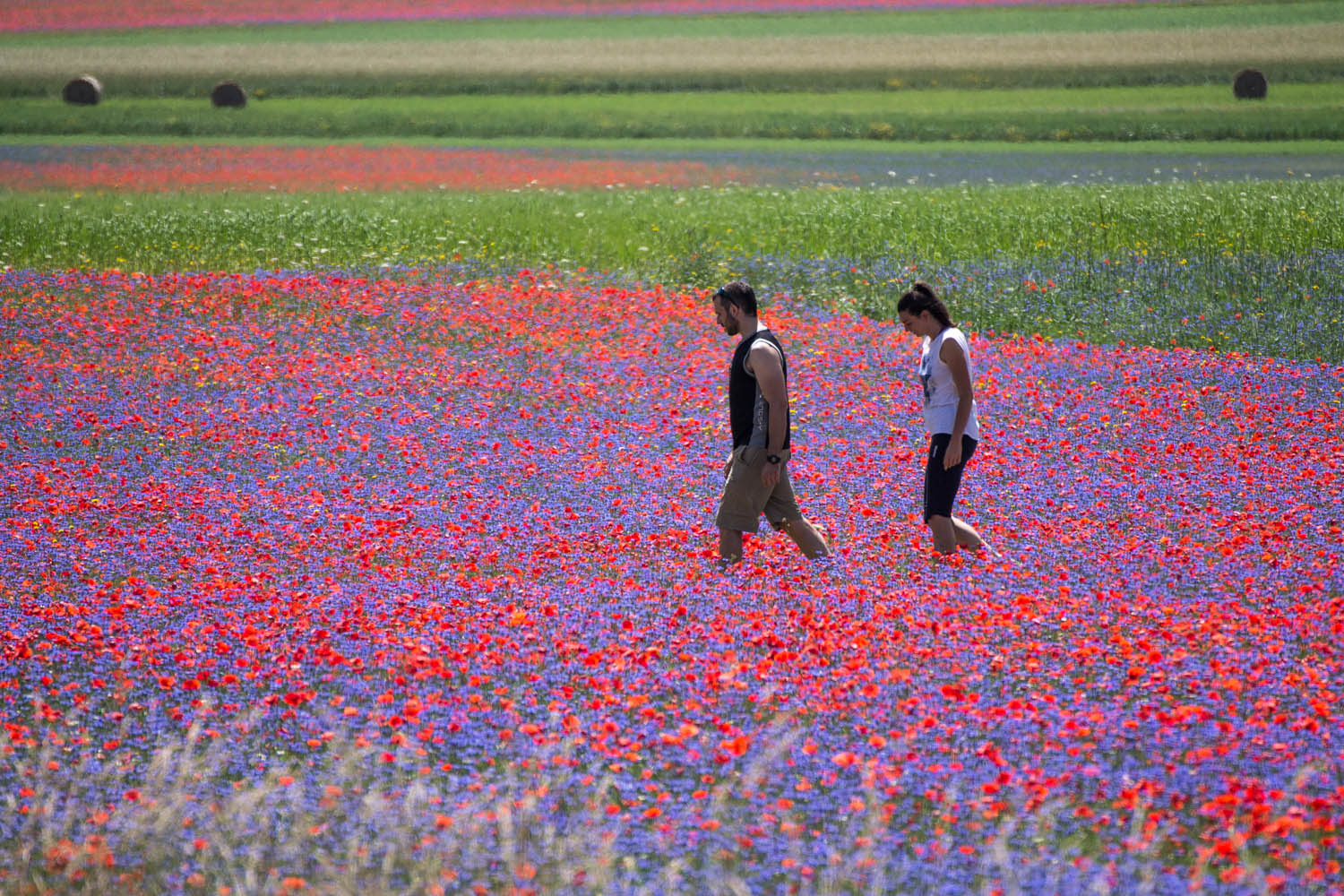 Castelluccio