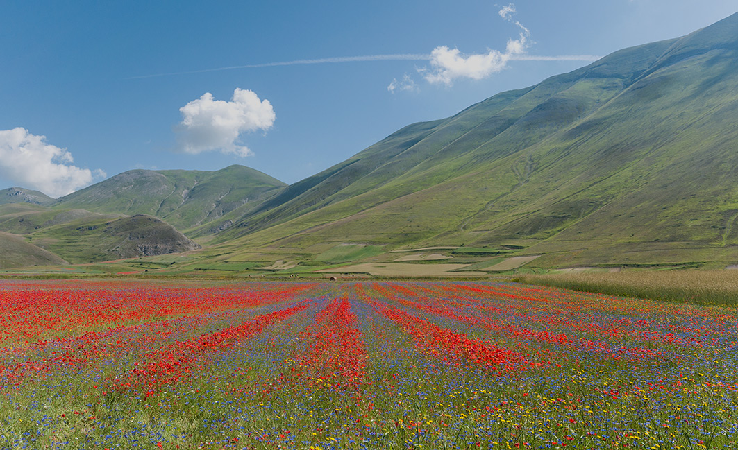 Castelluccio 2016