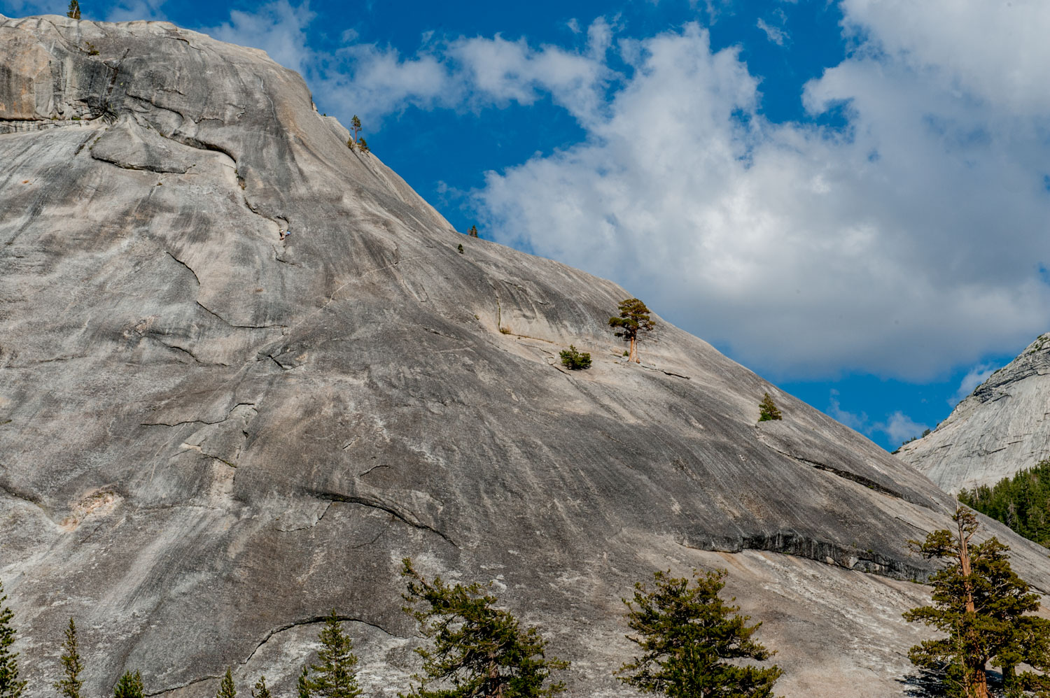 USA...California..Yosemite National Park...chi l'ha dura la vince...