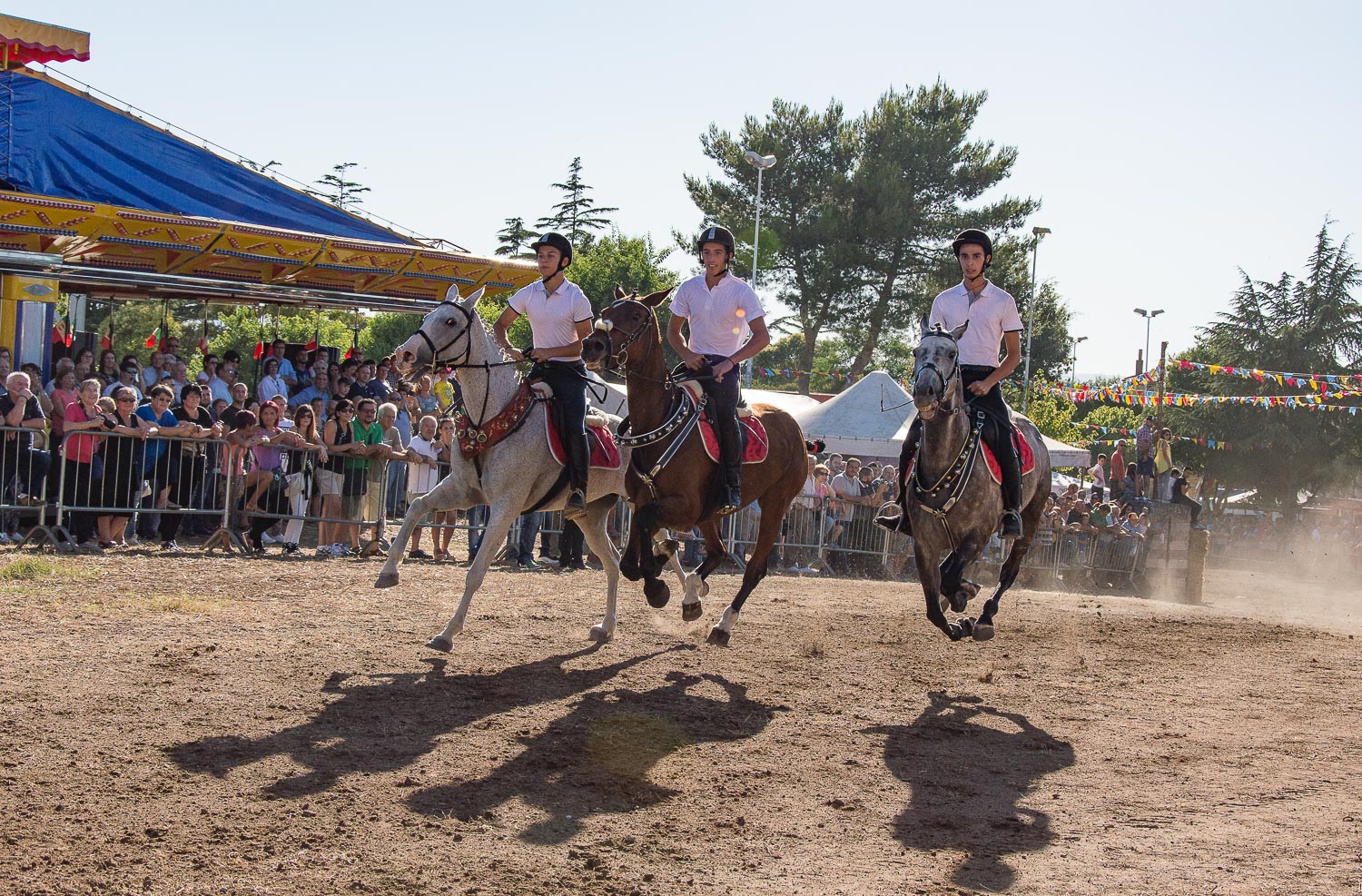 Ardia di San Costantino