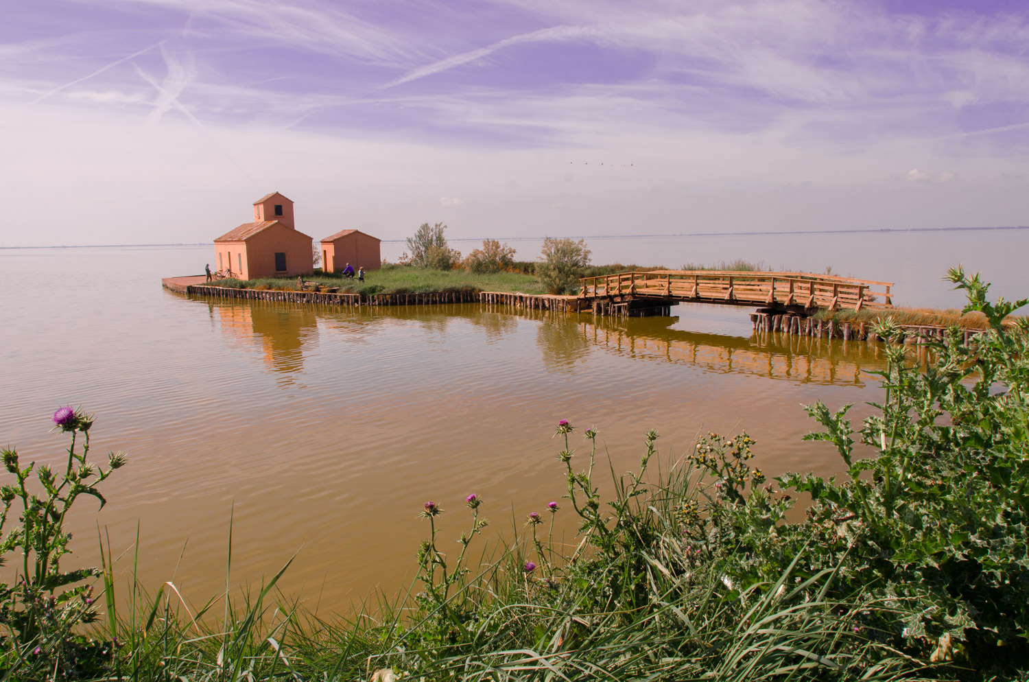 Valli di Comacchio