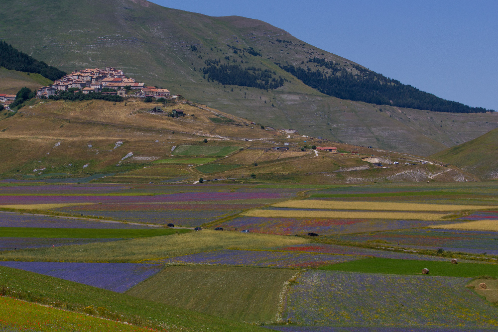 Castelluccio di Norcia