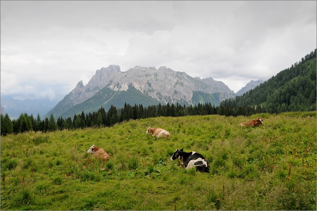 Dolomiti da Casera Razzo (BL)