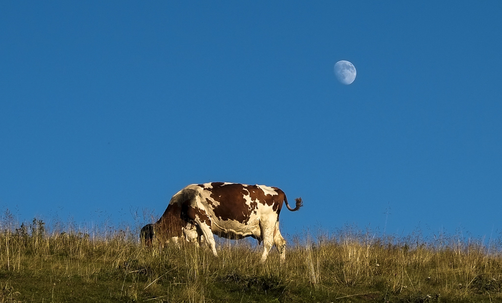 Lessinia terra da scoprire