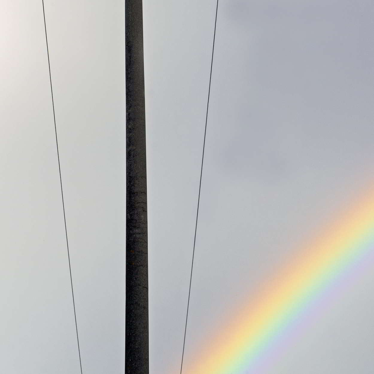 Linee colorate e non