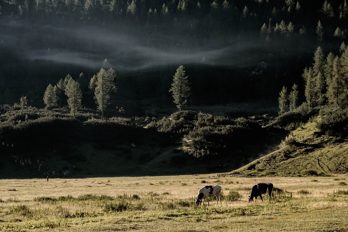 Alba a Malga Spora #2