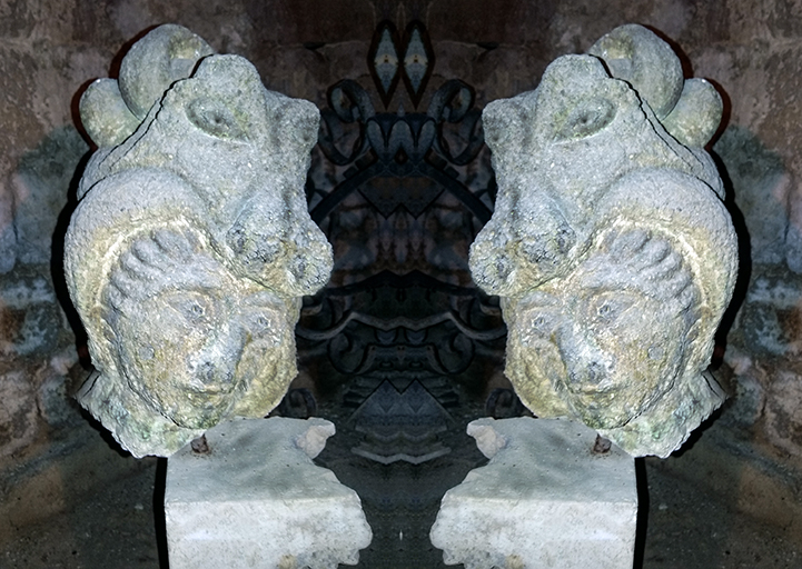 Cappucci animali�2016