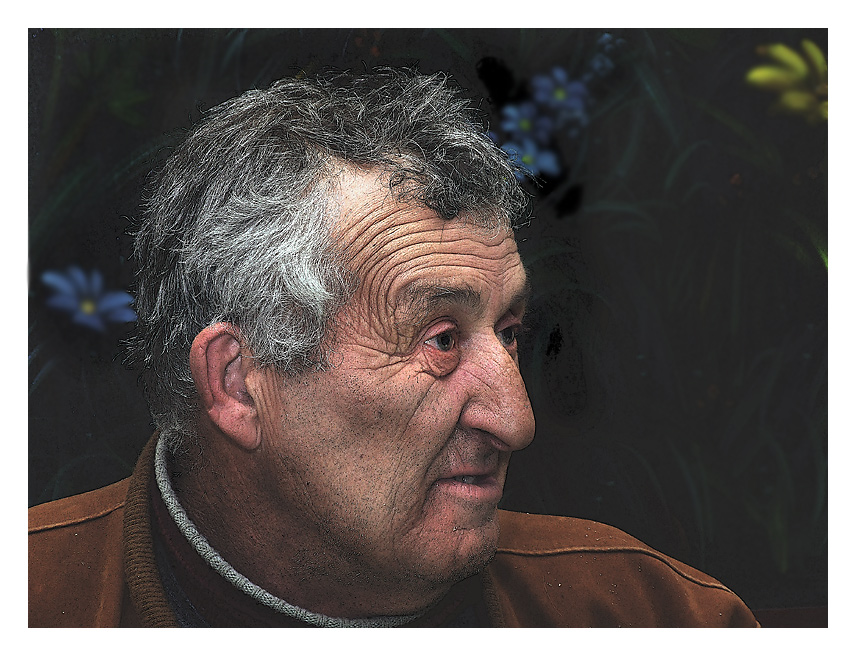 ritratto draganizzato