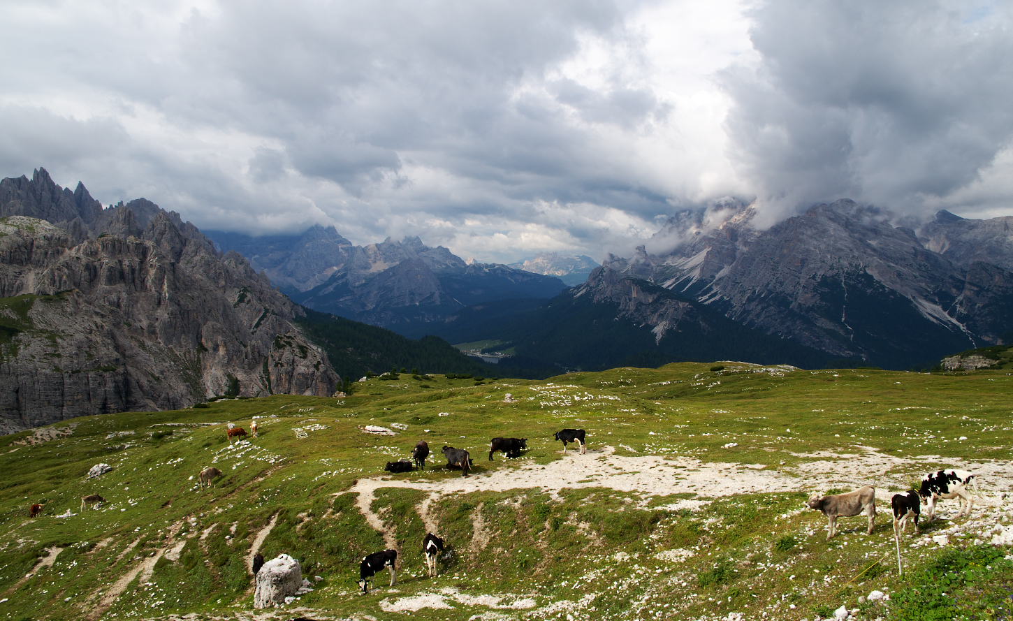 atom , heart , mother