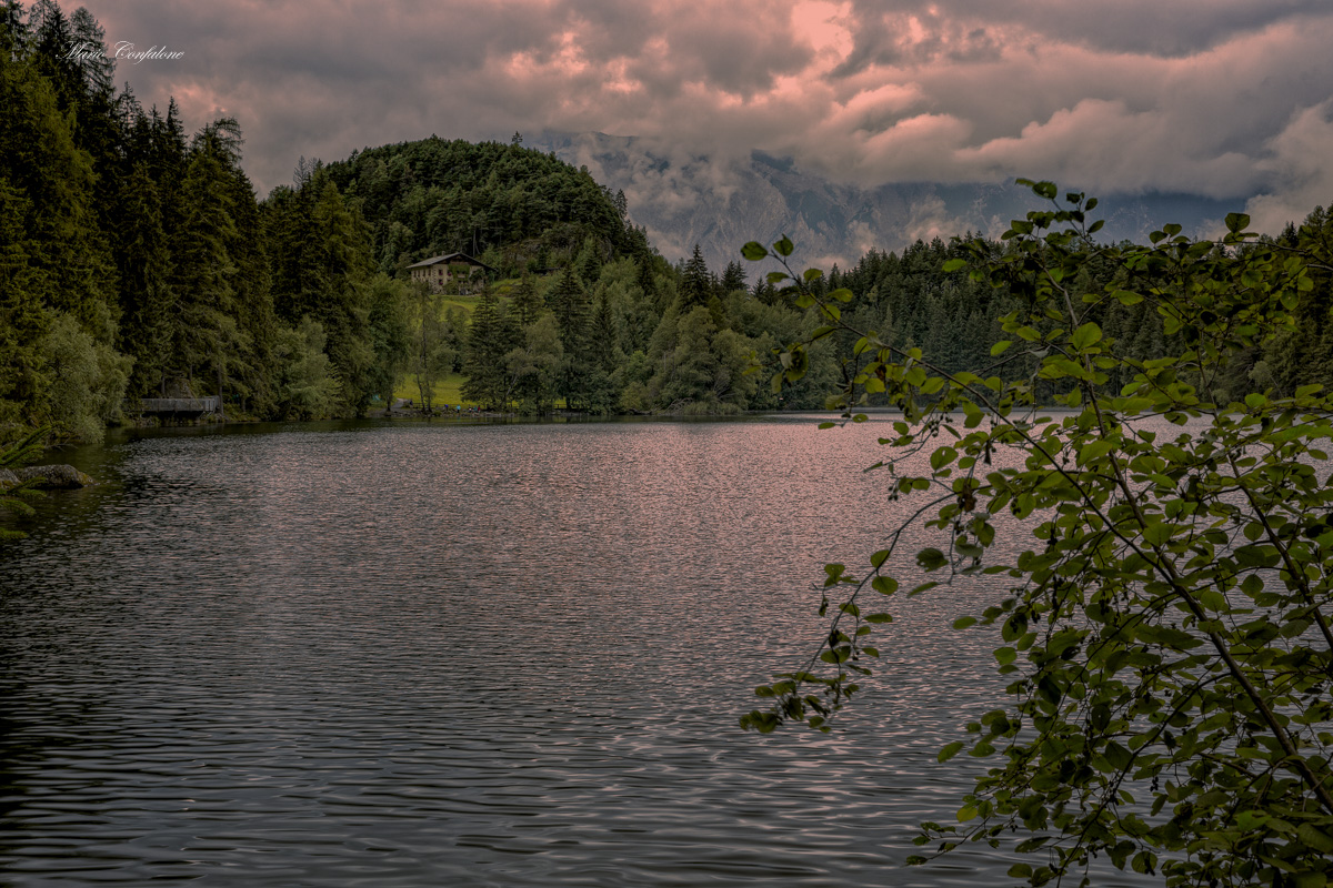 Credo nel rumore di chi sa tacere (Ligabue)
