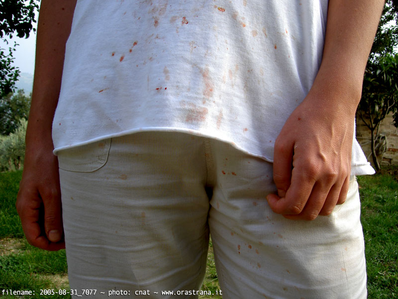 2005-08-31_7077 - sant'agnul�ttu