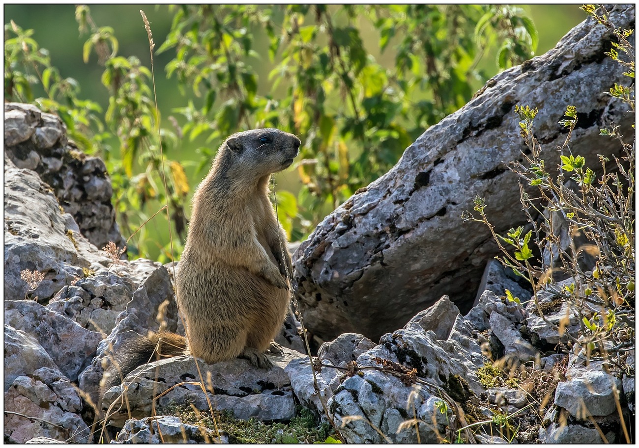 Pronta per il letargo.