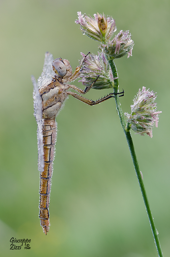 Ma che freddo fa!!!!