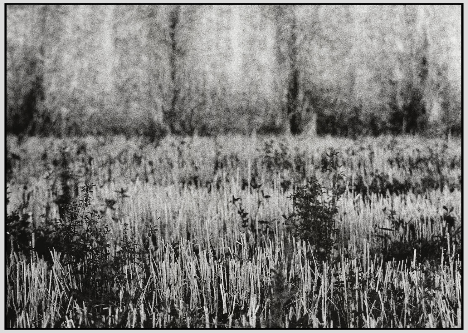 Prima della semina, dopo il raccolto!