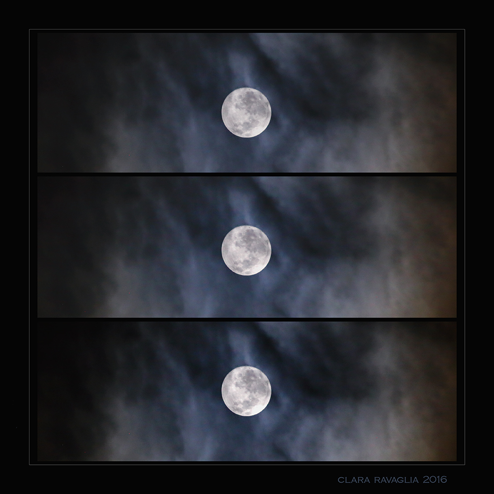 I Bottoni... della Notte