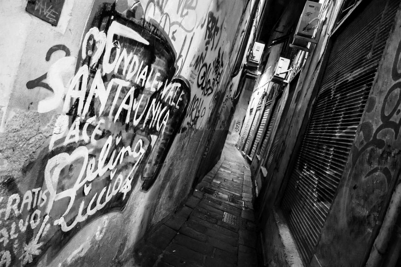 Zena in the darkness