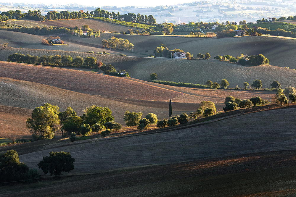 e colline e praterie dove corrono dolcissime le mie malinconie l'universo trova spazio dentro me