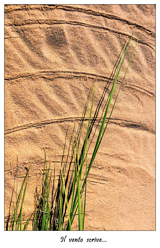 Il vento scrive