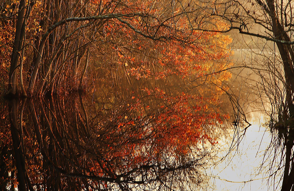 Lo splendore dell'autunno