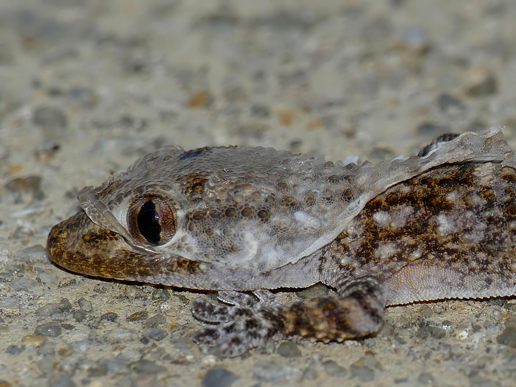 *** Ora mi spoglio ***