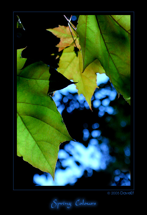 Spring Colours