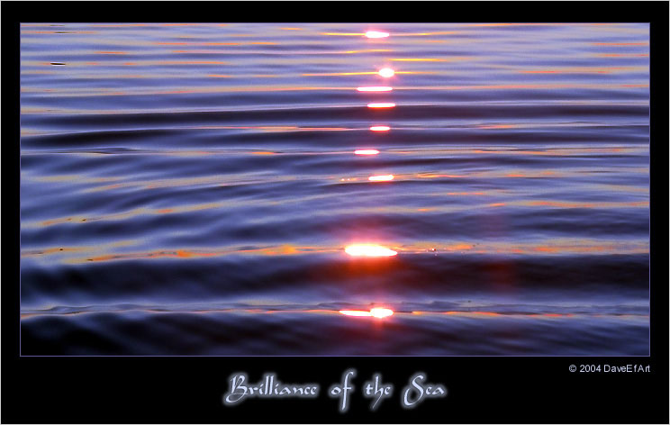 Brilliance of the Sea