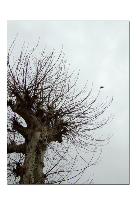 Resistenza e perseveranza