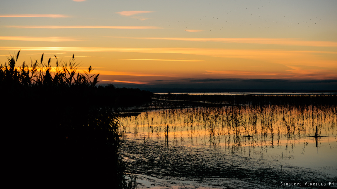 Lago di Lesina