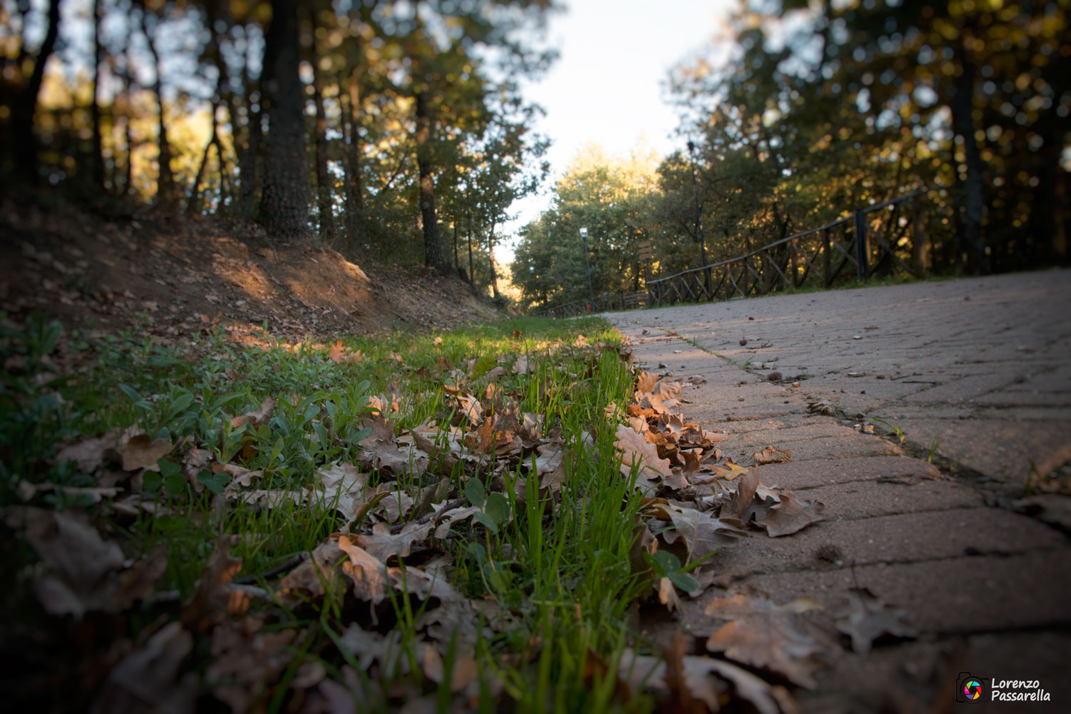 Come Foglie d'autunno..