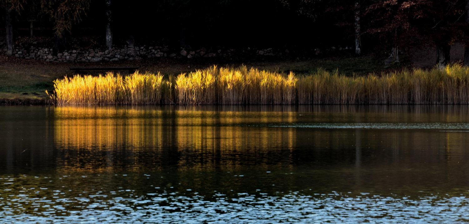 Giocando con la luce