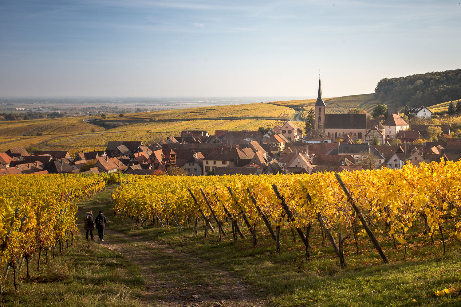 Autunno in Alsazia #2