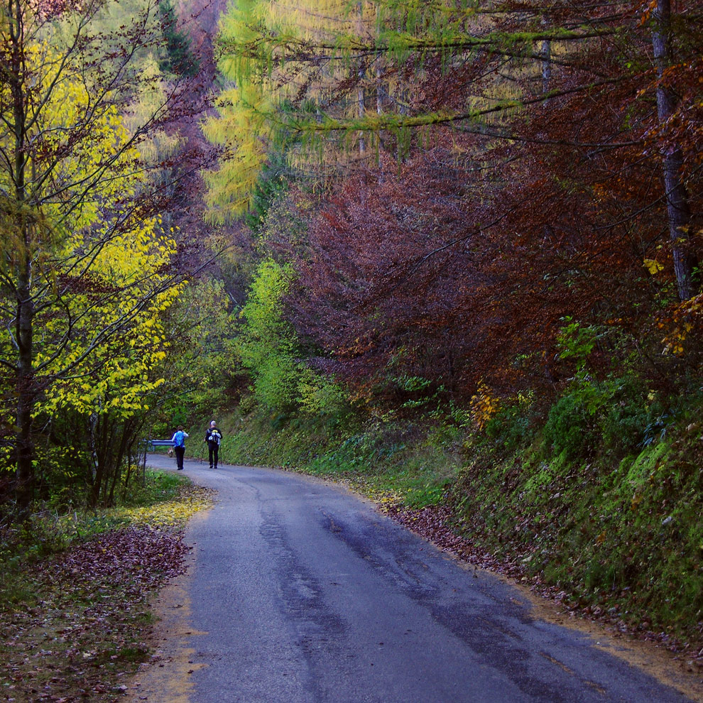 Camminando nell'autunno