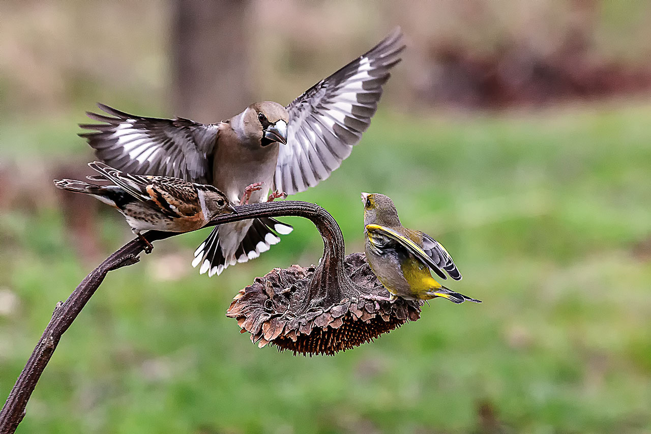 C'� posto per tutti