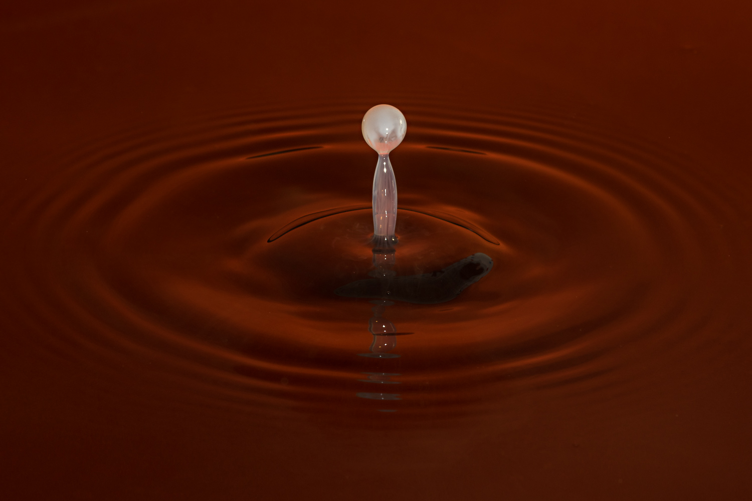 Goccia di latte caduta in acqua