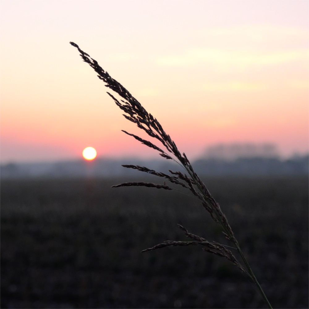 Tendere alla luce (consapevoli del buio)