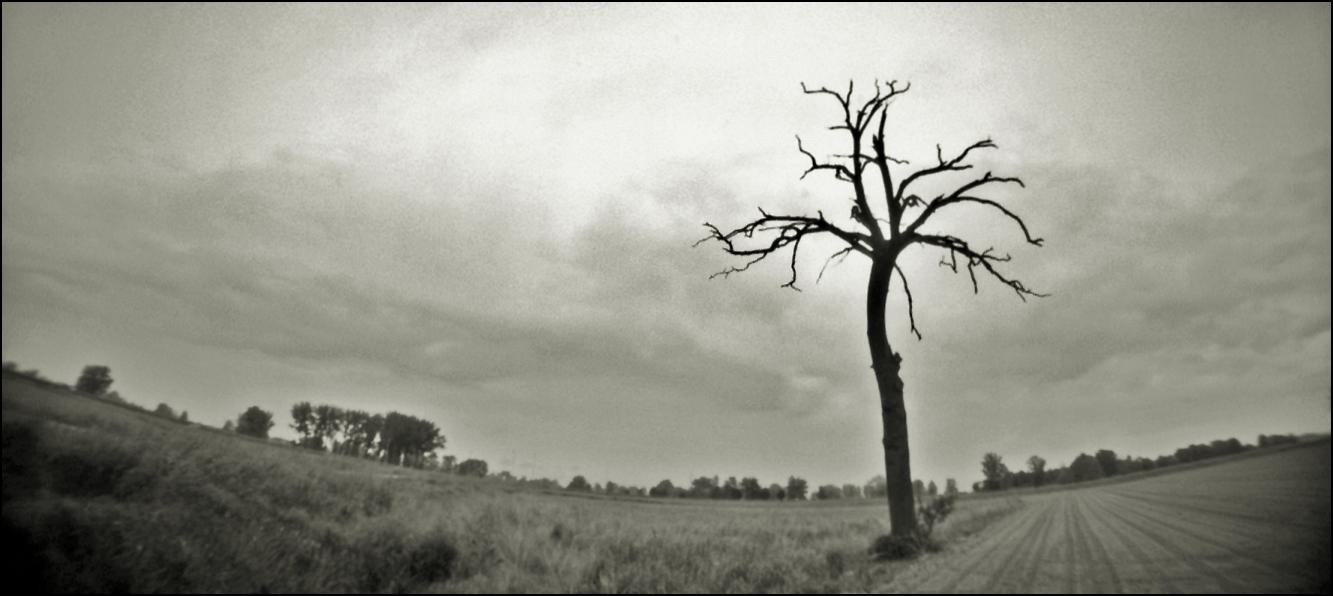 la morte ti fa bello... ;/) pinhole