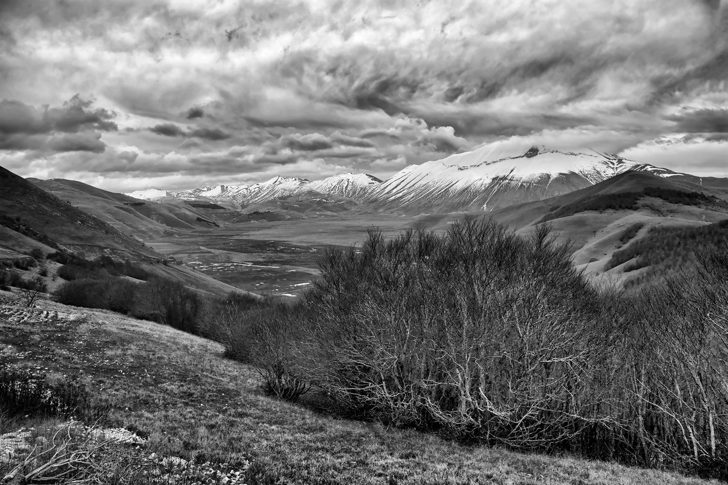 WINTER IS COMING B&W