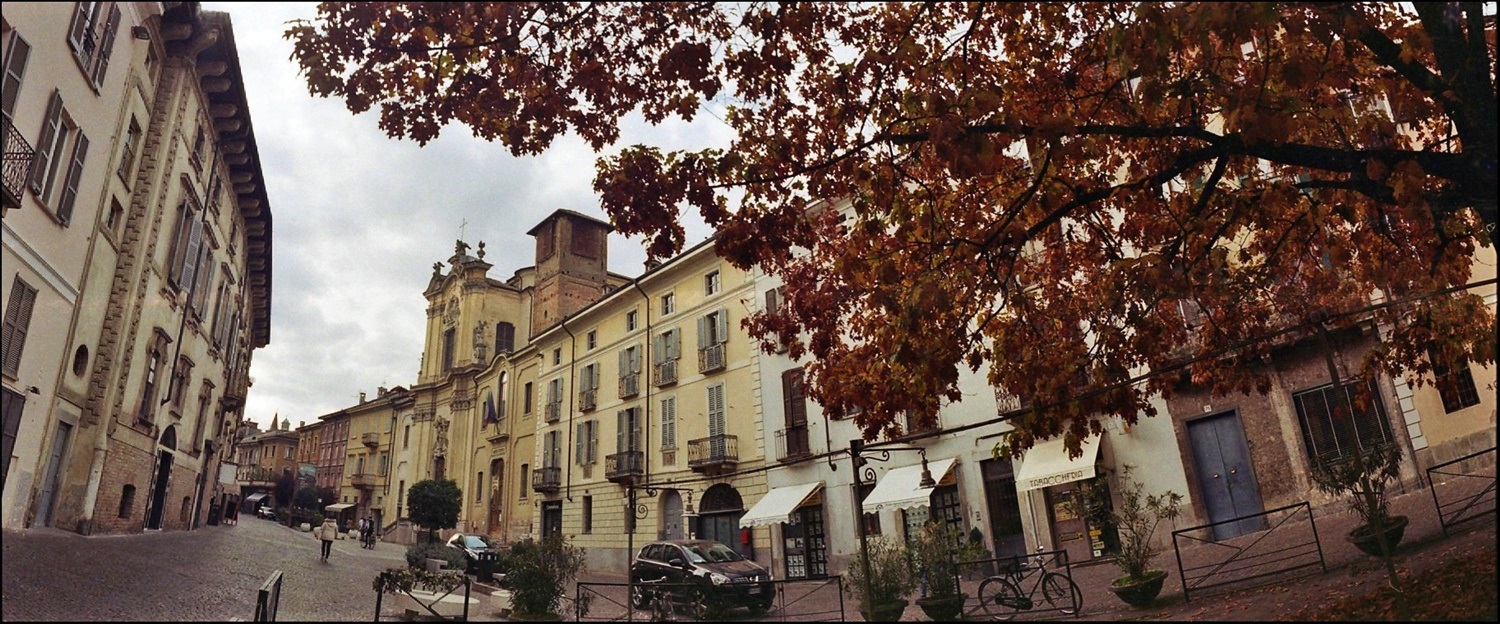 fronde del porto ;/)