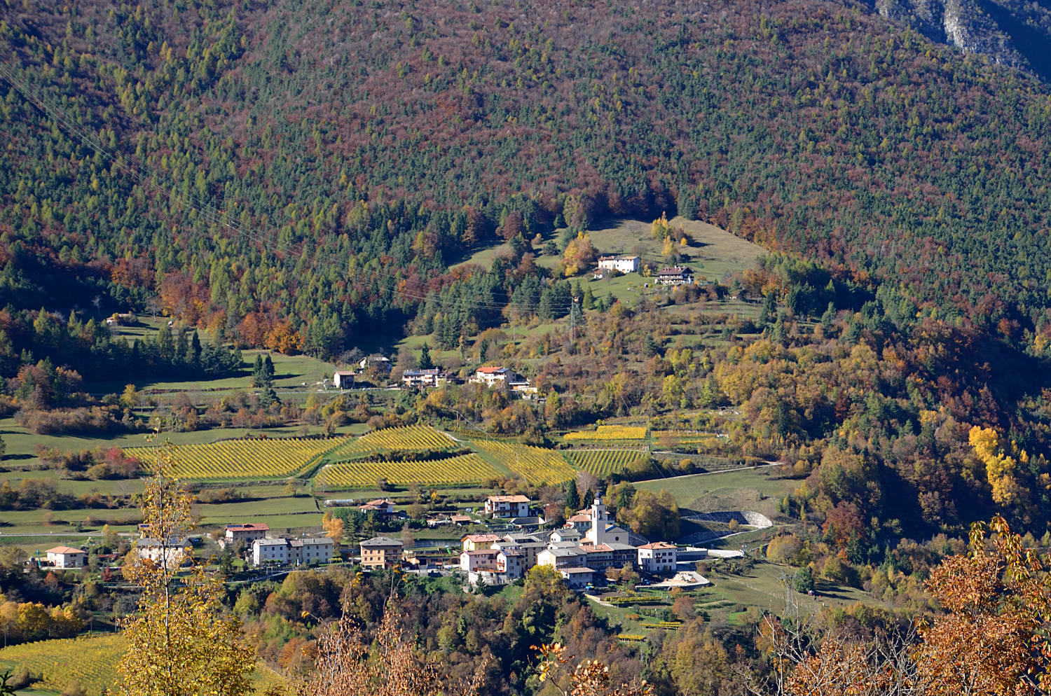 Agricoltura di montagna