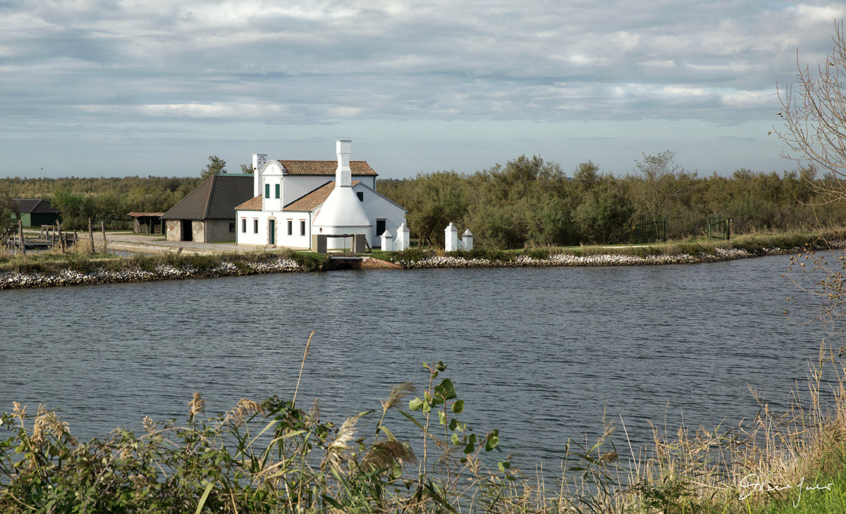 Valli nel Delta del Po