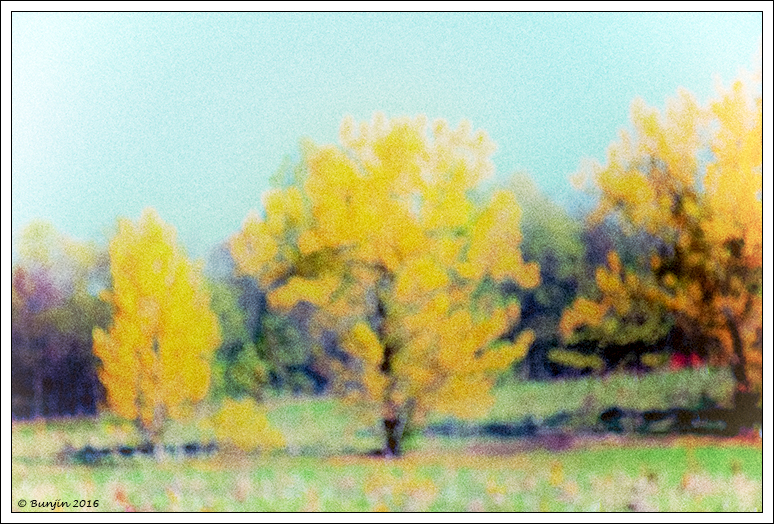 Autunno...........analogico