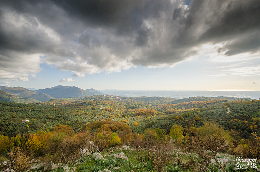 Norma vestita d'autunno
