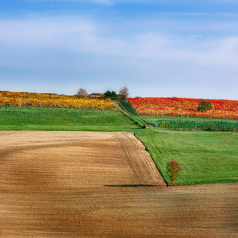 United color of Langhe