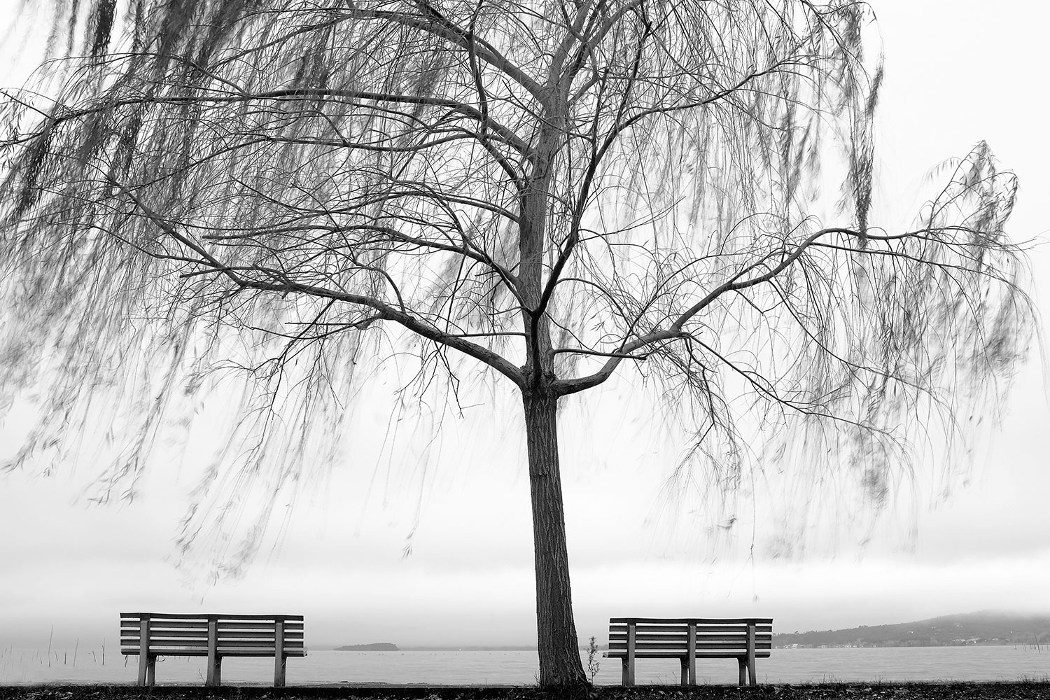 un lieve soffio di vento .....